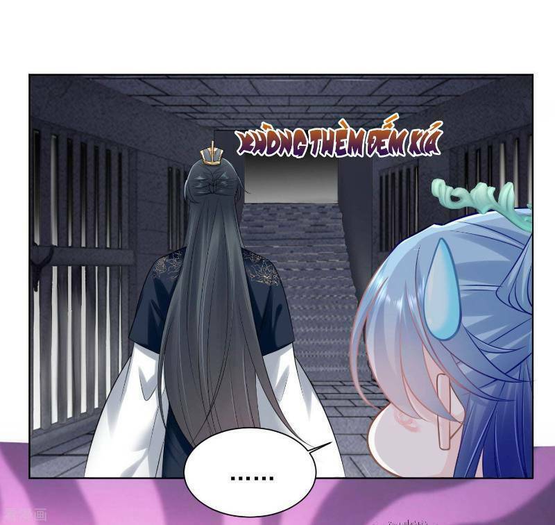 độc y đích nữ chapter 97 8