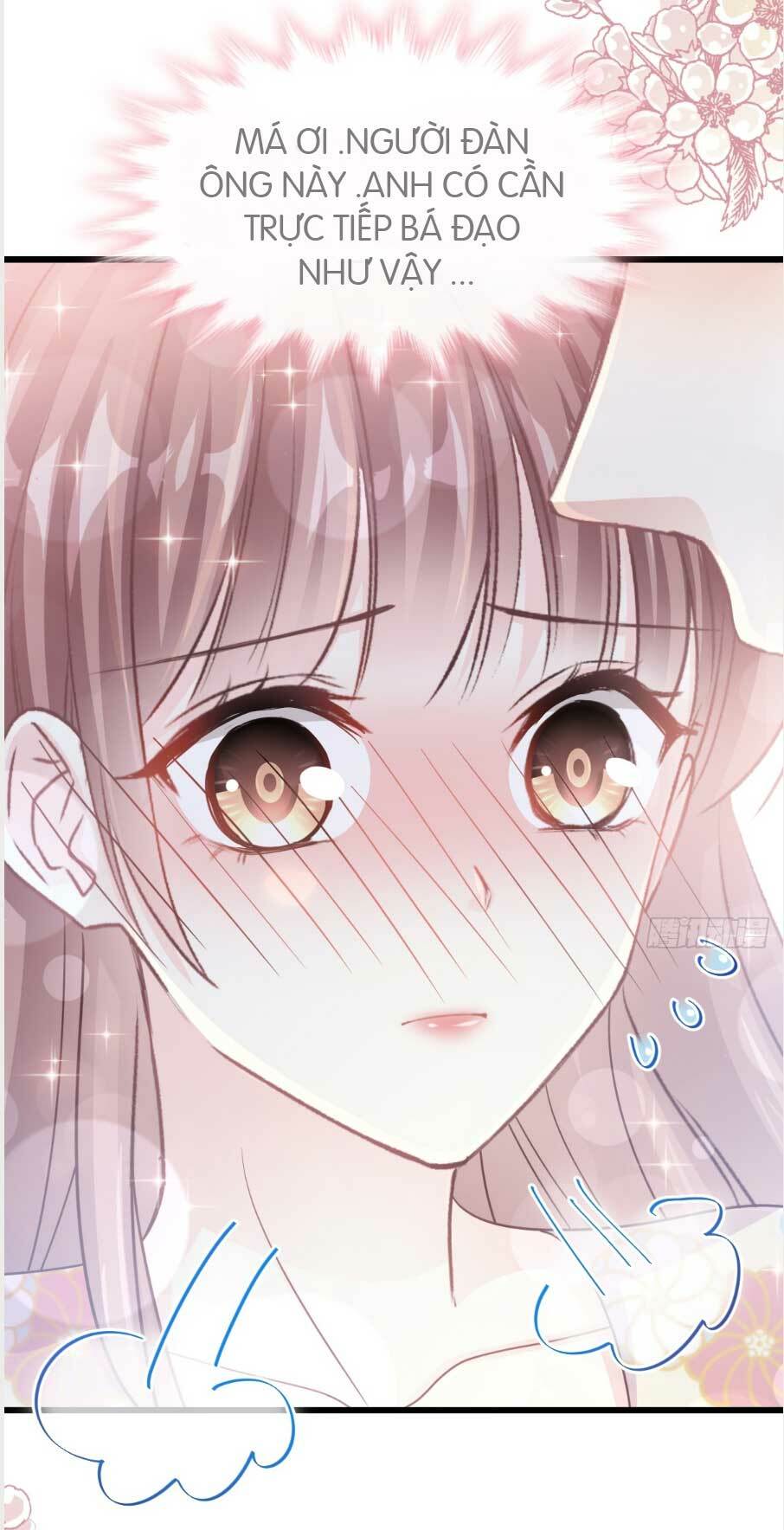 bá đạo tổng tài nhẹ nhàng yêu chapter 59.2 12