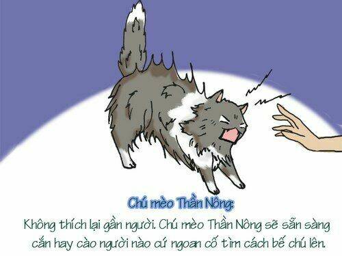 12 cung hoàng đạo vui chapter 22 12