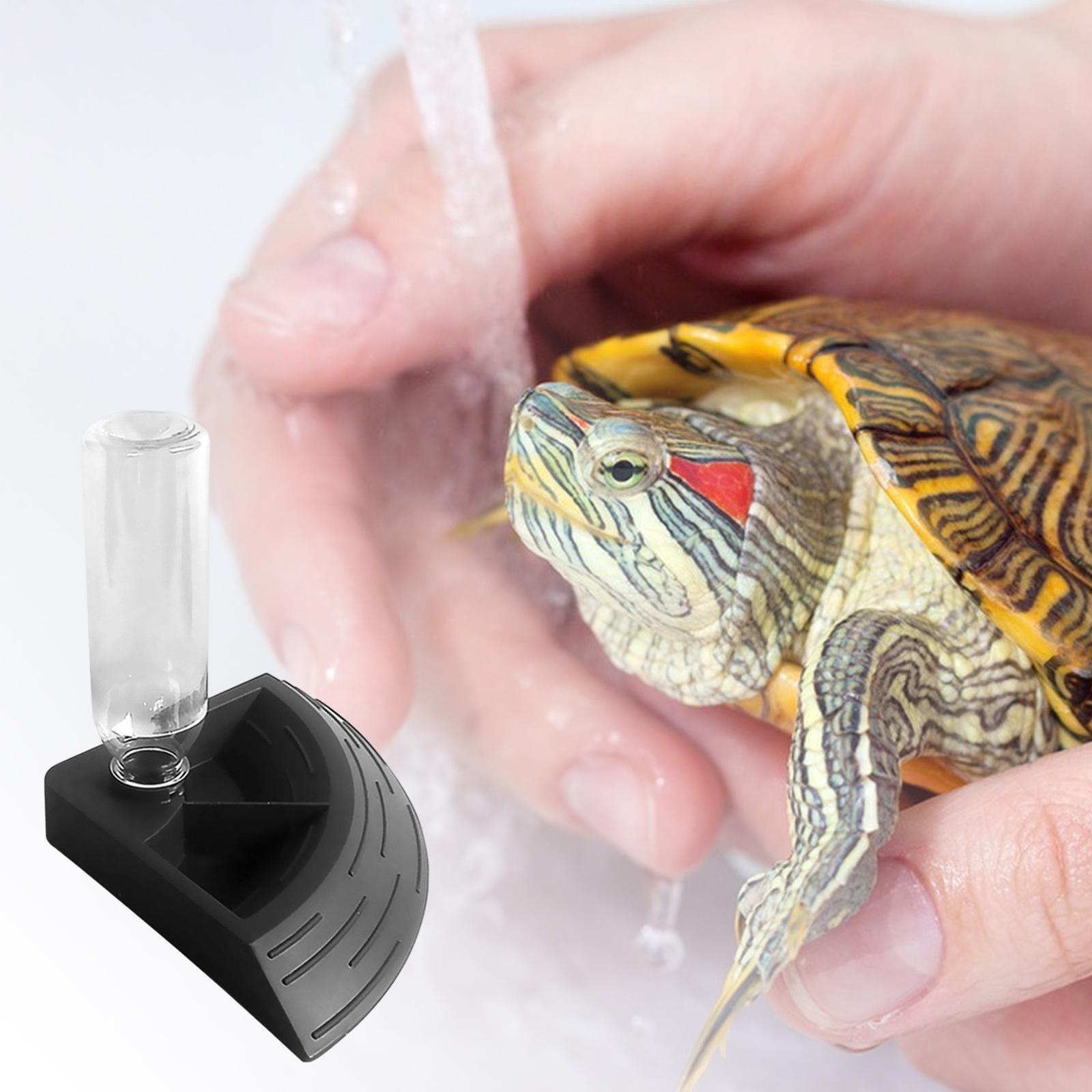 Automatic  Turtle  Bowl Water Resin Dish-Dark Brown