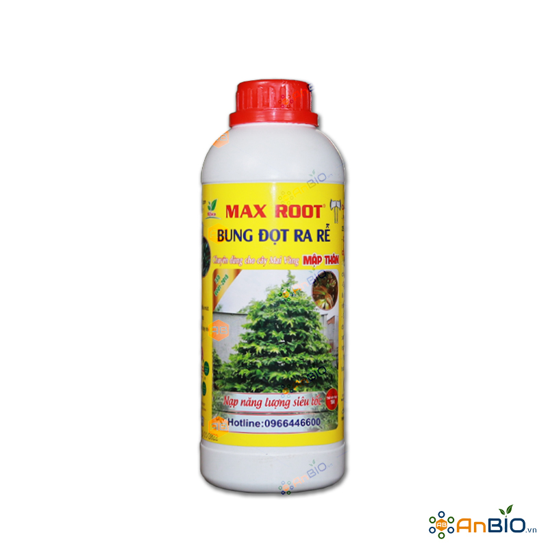 MAX ROOT | Bung đọt ra rễ Mai Vàng - Chai 1L