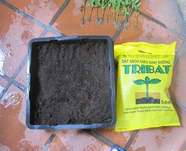 Đất Tribat trồng rau sạch, cây cảnh 5dm3