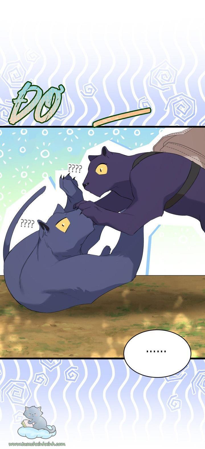 quan hệ cộng sinh giữa báo đen và thỏ trắng chapter 61 58