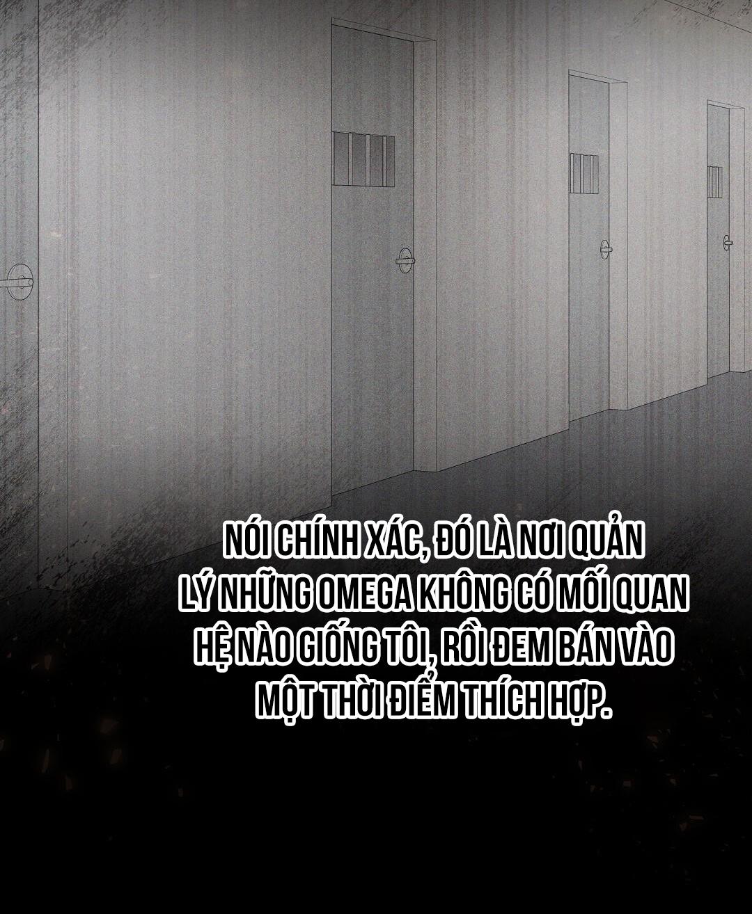 macguffin chapter 2 65