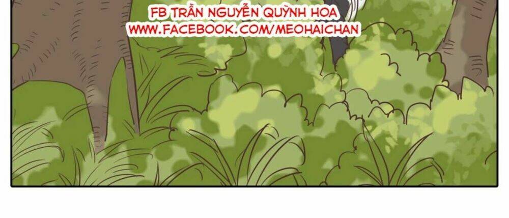 xin chào! dân nữ chapter 30 15