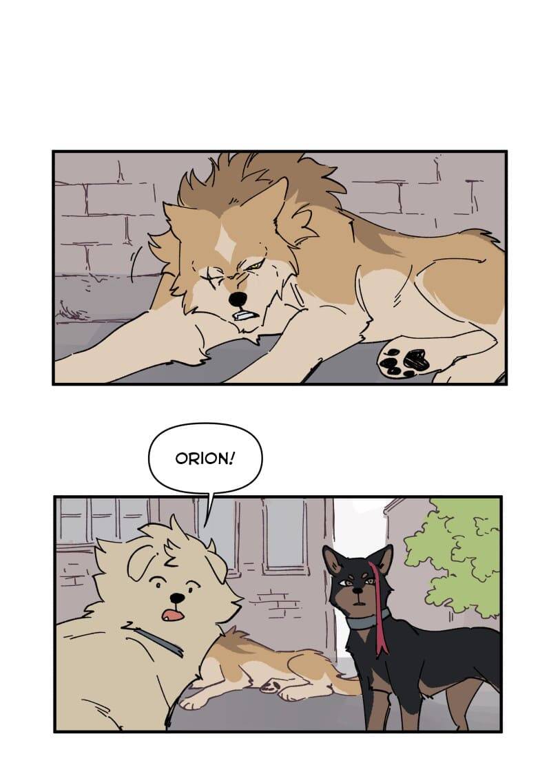 lumine - cội nguồn ánh sáng chapter 153 6