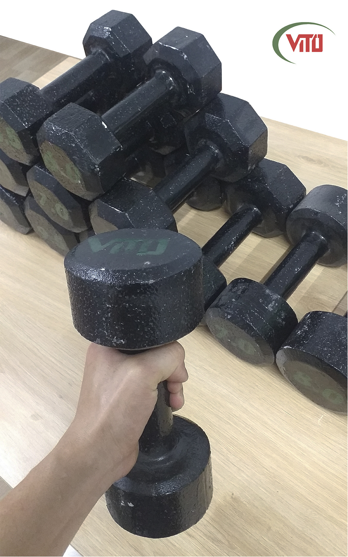 TẠ TAY TẬP GYM 3KG-14KG - HÌNH TRÒN