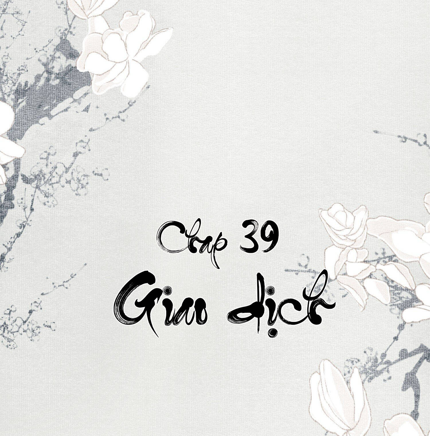 không cẩn thận cứu phải kẻ thù của giang hồ chapter 39 2