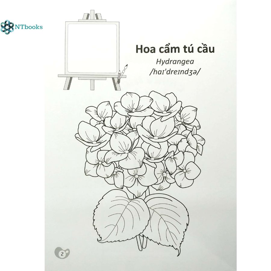 Sách Tô Màu Chúng Mình Tập Làm Họa Sĩ - Các Loài Hoa (3-6 Tuổi)