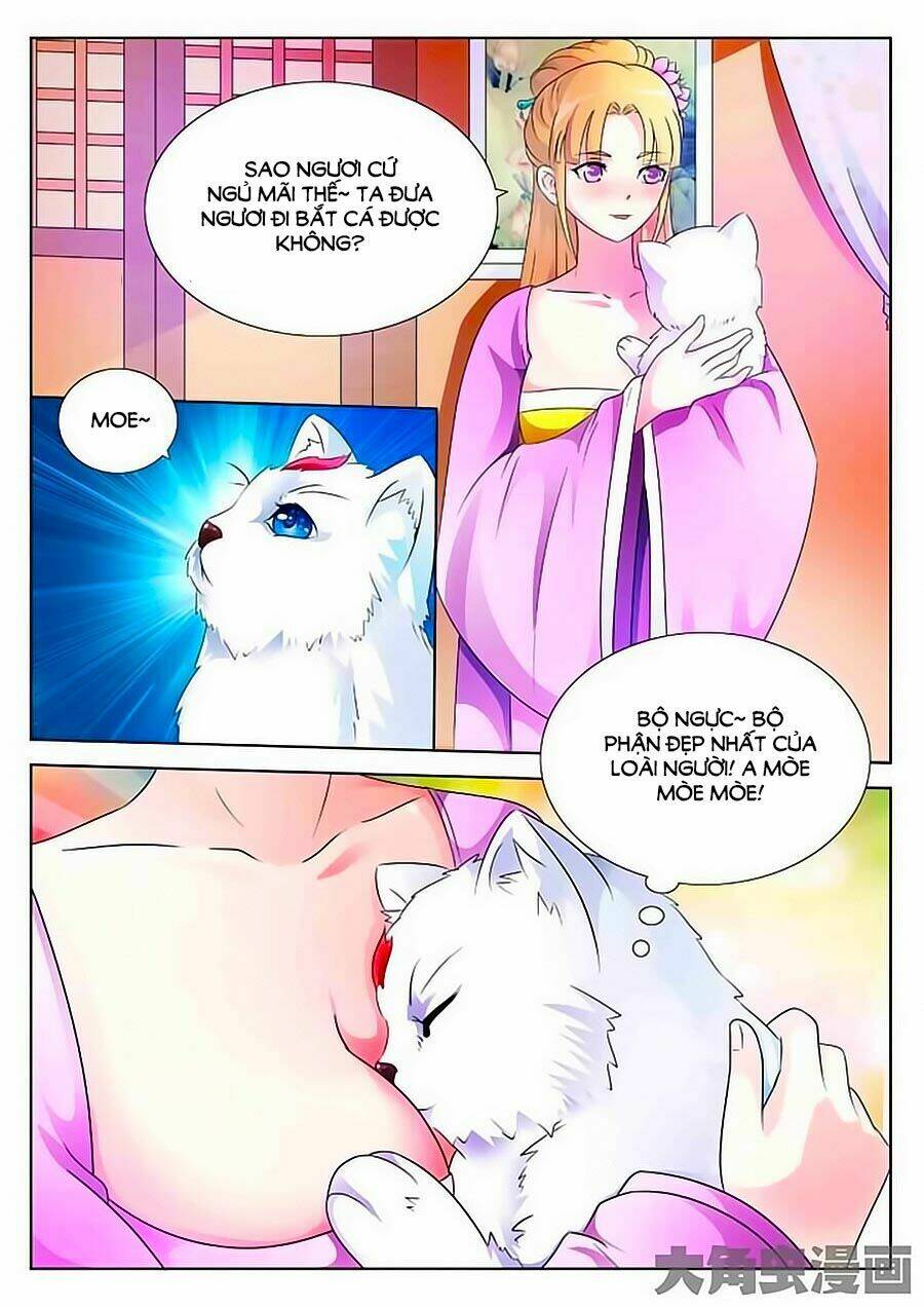 mau lấy con mèo đó ra chapter 1 8