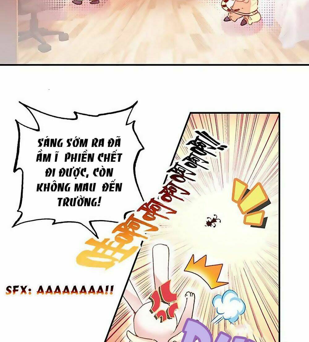 từ hôm nay nhận chức thiếu nữ ma pháp chapter 6 8