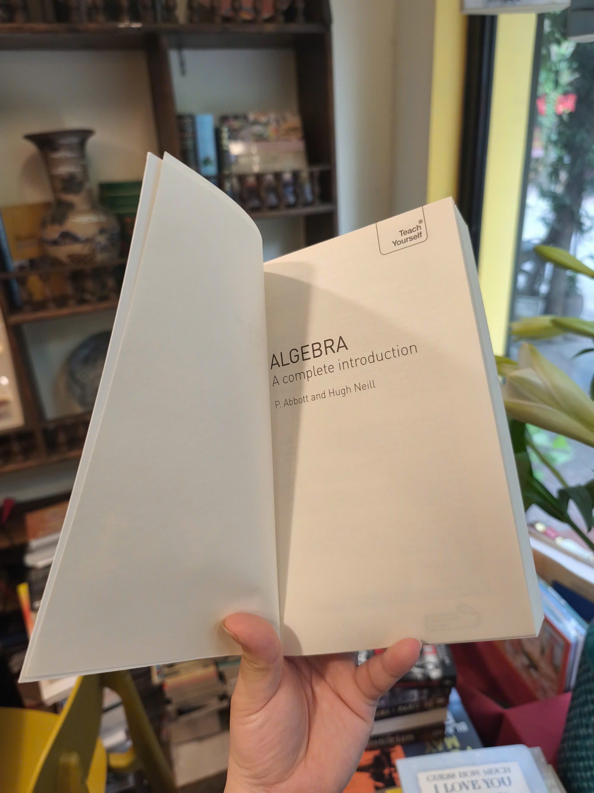 Sách - Teach Yourself Algebra: A Complete Introduction by Hugh Neill | Mathematics / Ngoại văn