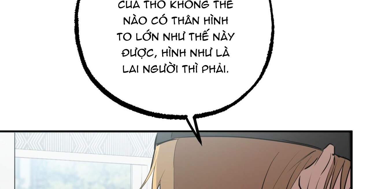 đàn thỏ của habibi chapter 36 150