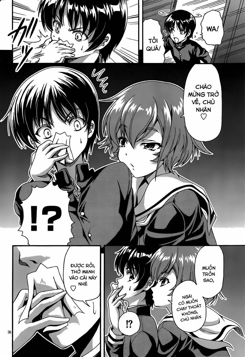 những cô gái có đôi tai thỏ chapter 1 35