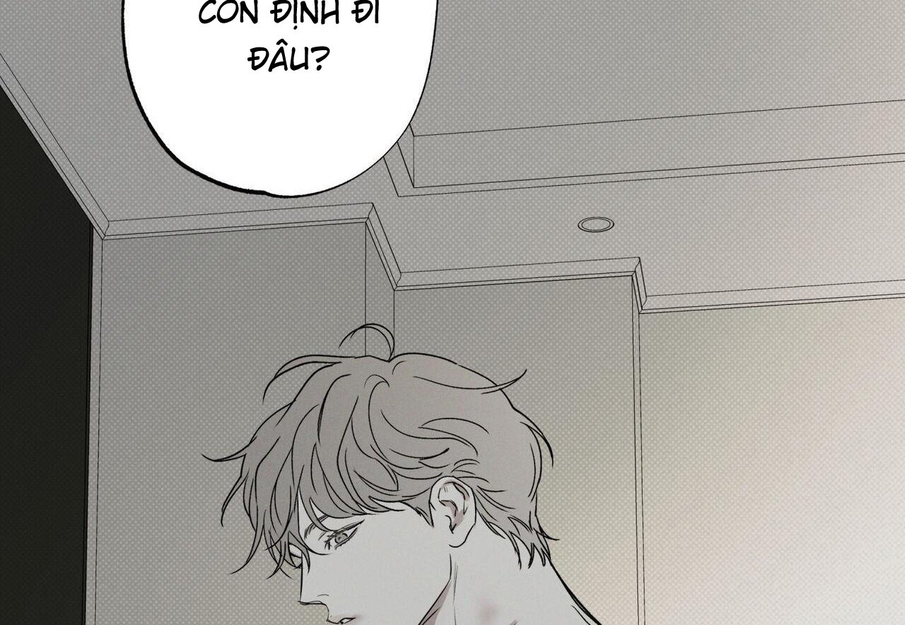 chàng giao pizza và gold palace chapter 48 9