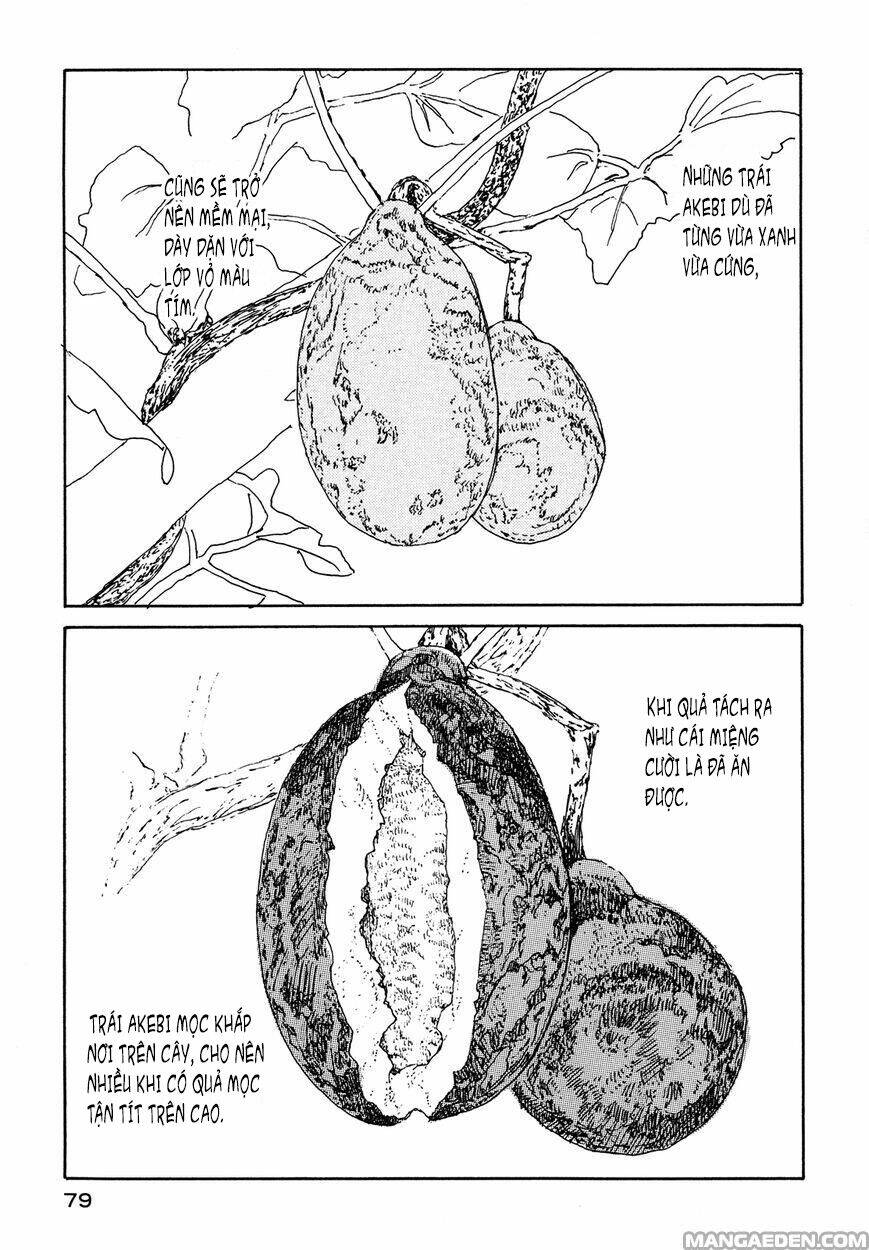 little forest chapter 25 3