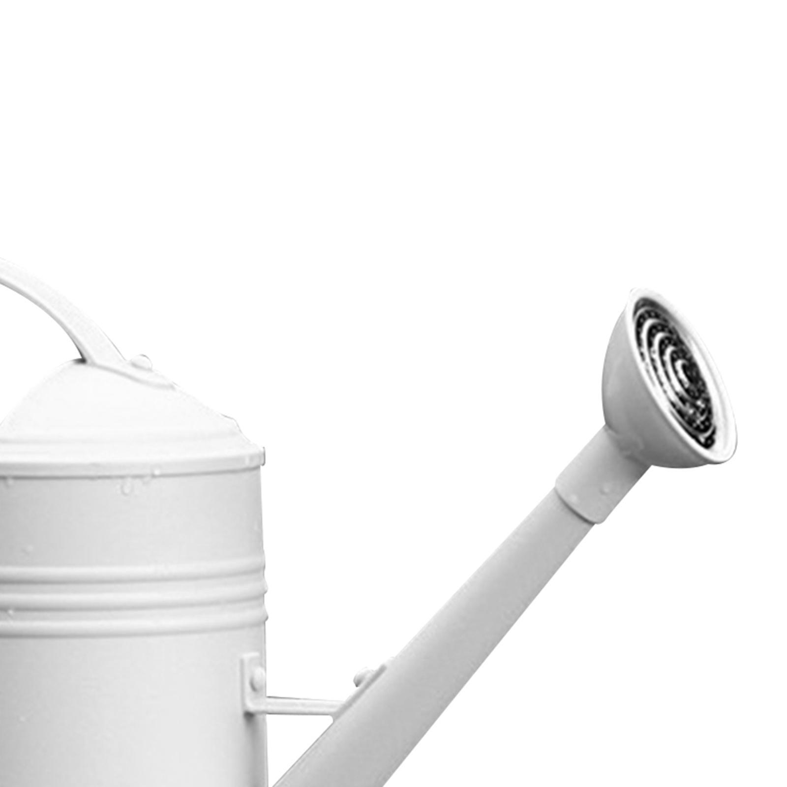 Watering Can Flower Watering Sprinkler Head for Indoor Garden