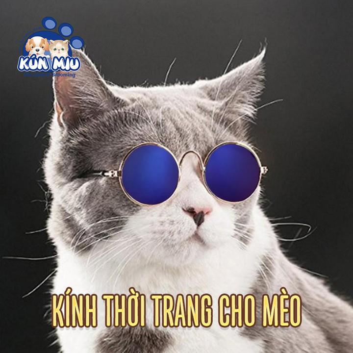 Kính thời trang cho mèo, Kính mát, kính râm cho mèo Kún Miu