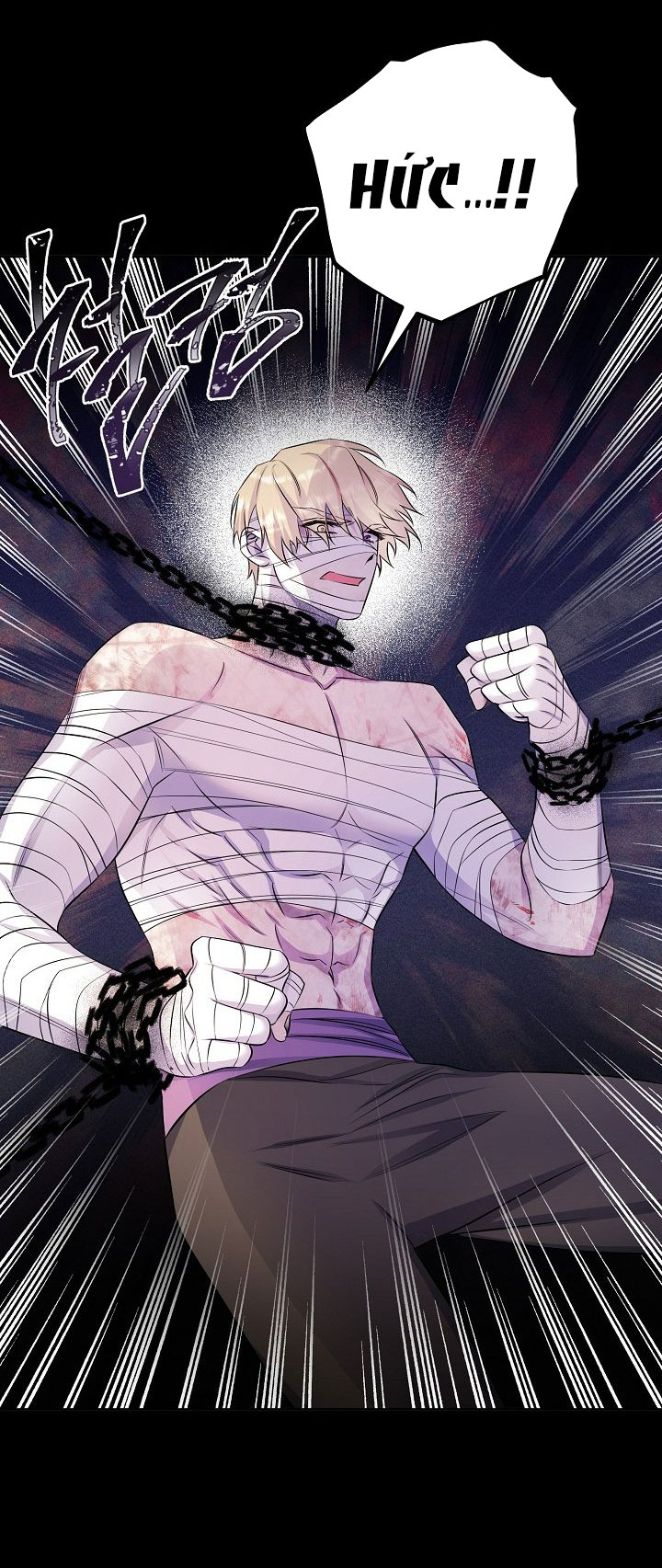 [18+] nếu cứu rỗi một cầm thú hư hỏng chapter 36.2 19