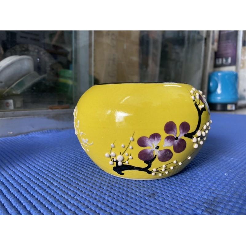 Chậu hoa mini tài Lộc ba màu