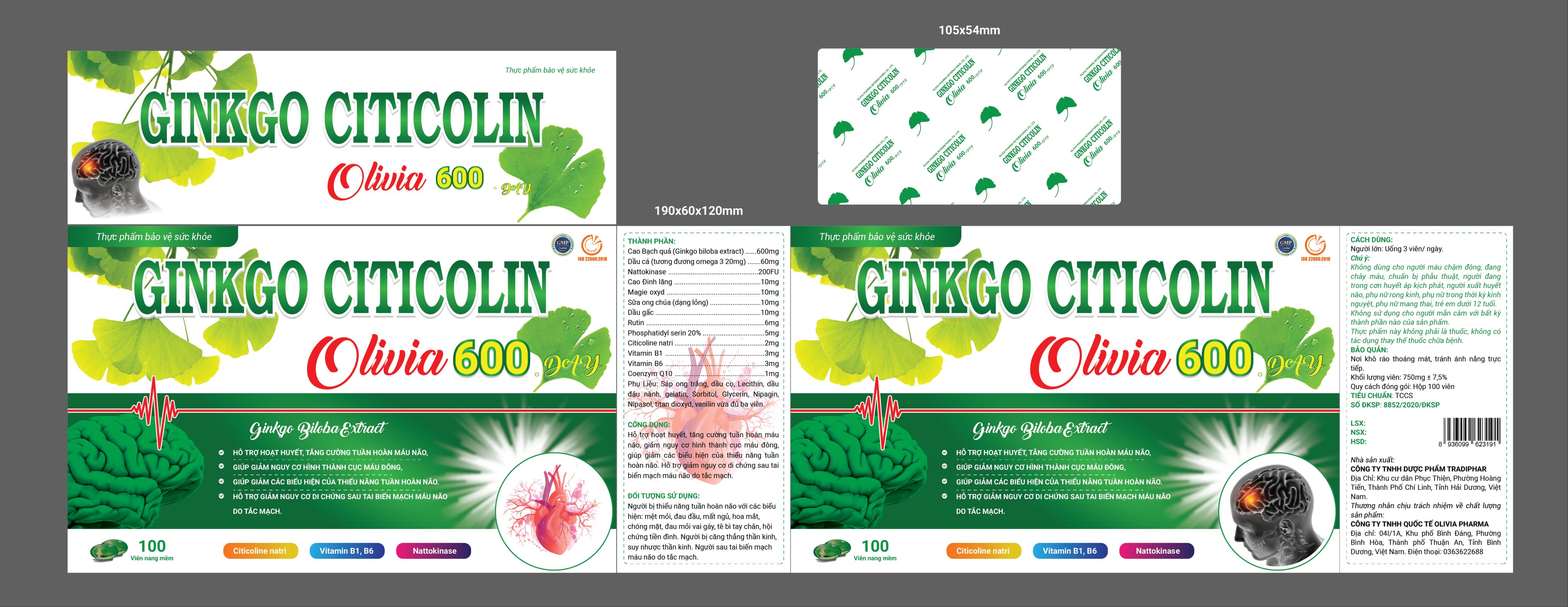 GINKO CITICOLIN OLIVIA 600 DAY