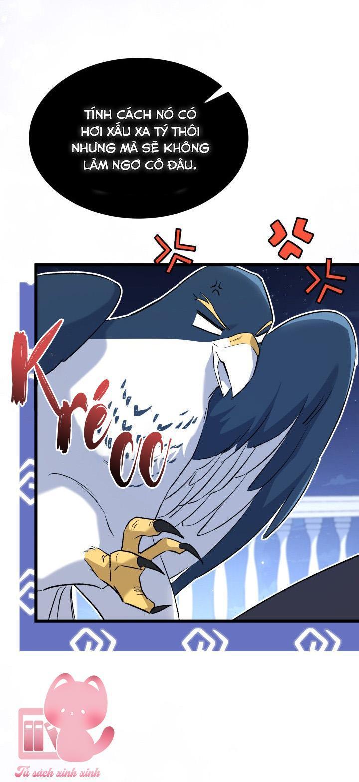 quan hệ cộng sinh giữa báo đen và thỏ trắng chapter 91 47