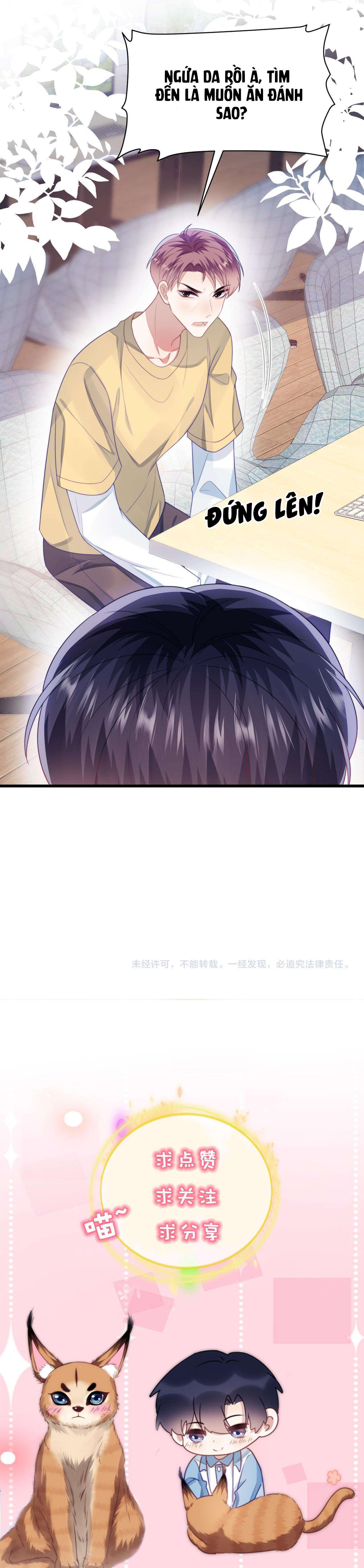 mèo hoang nhỏ của học bá quá chọc người rồi chapter 43 8
