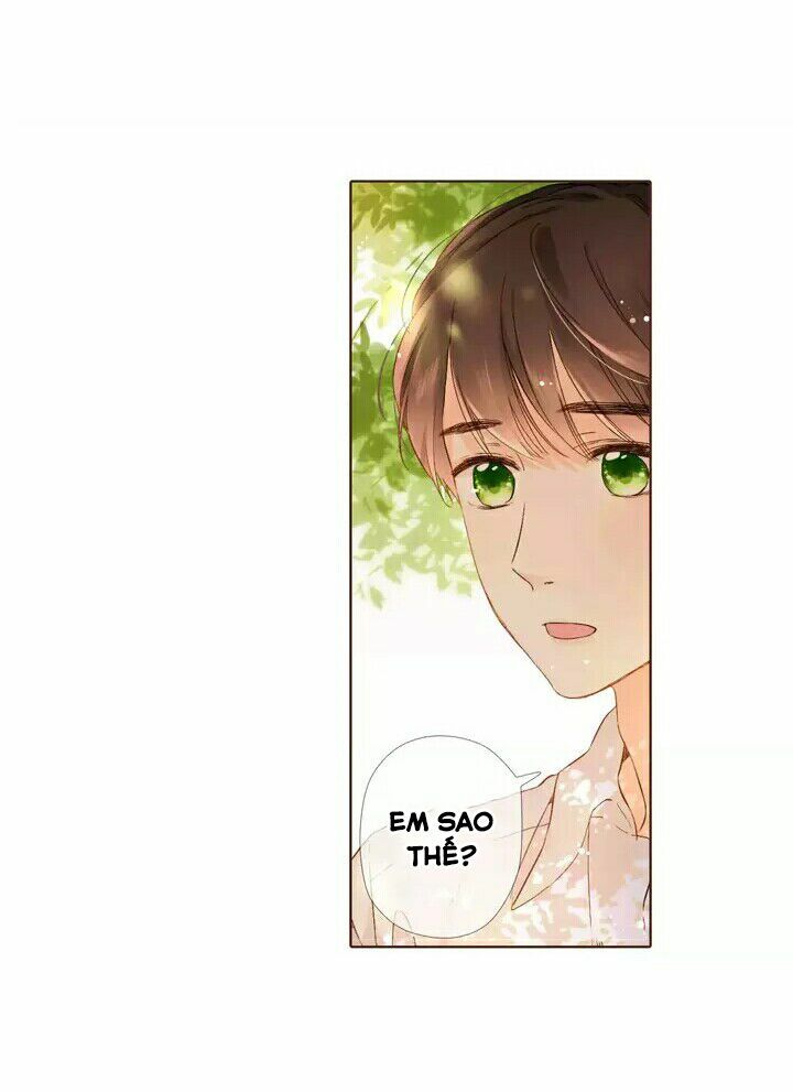 Tình yêu là màu hoa anh thảo chapter 28.1 43