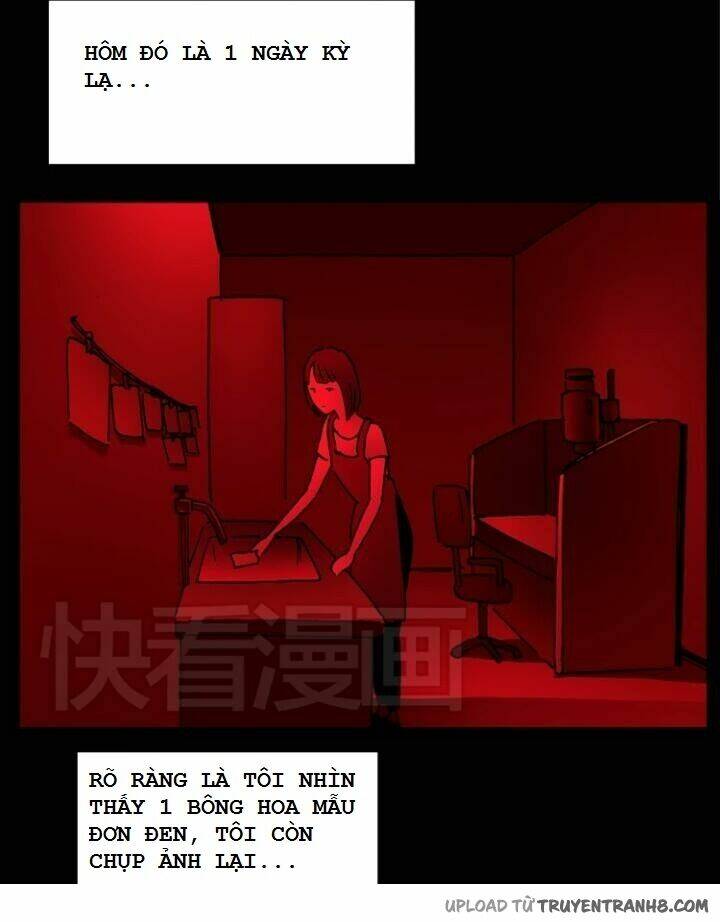 hoa mẫu đơn đen chapter 7 18