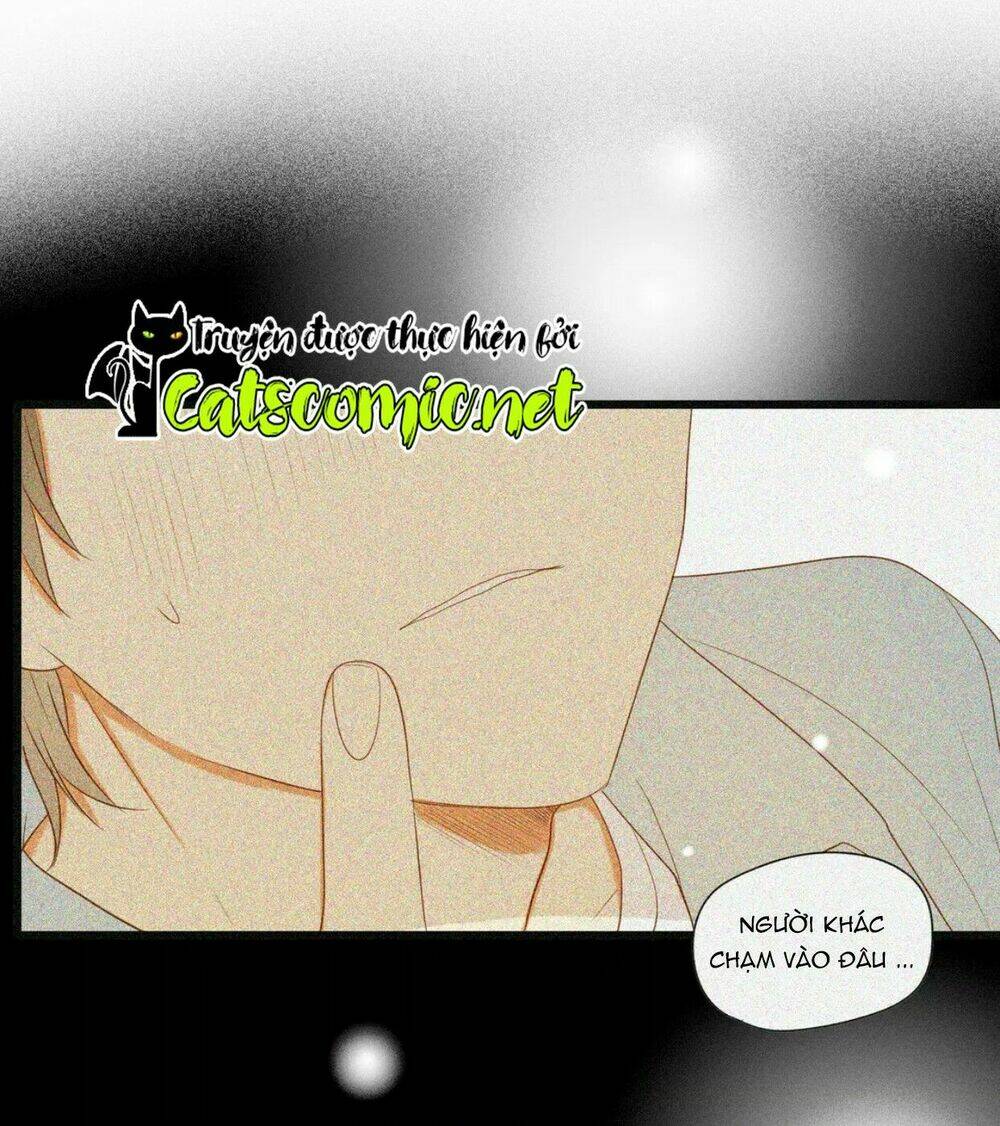 điều giáo quan hệ chapter 17 34