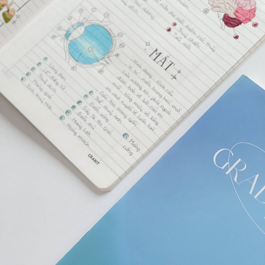 Vở kẻ ngang 80 trang Gradient Crabit ghi chép mượt mà