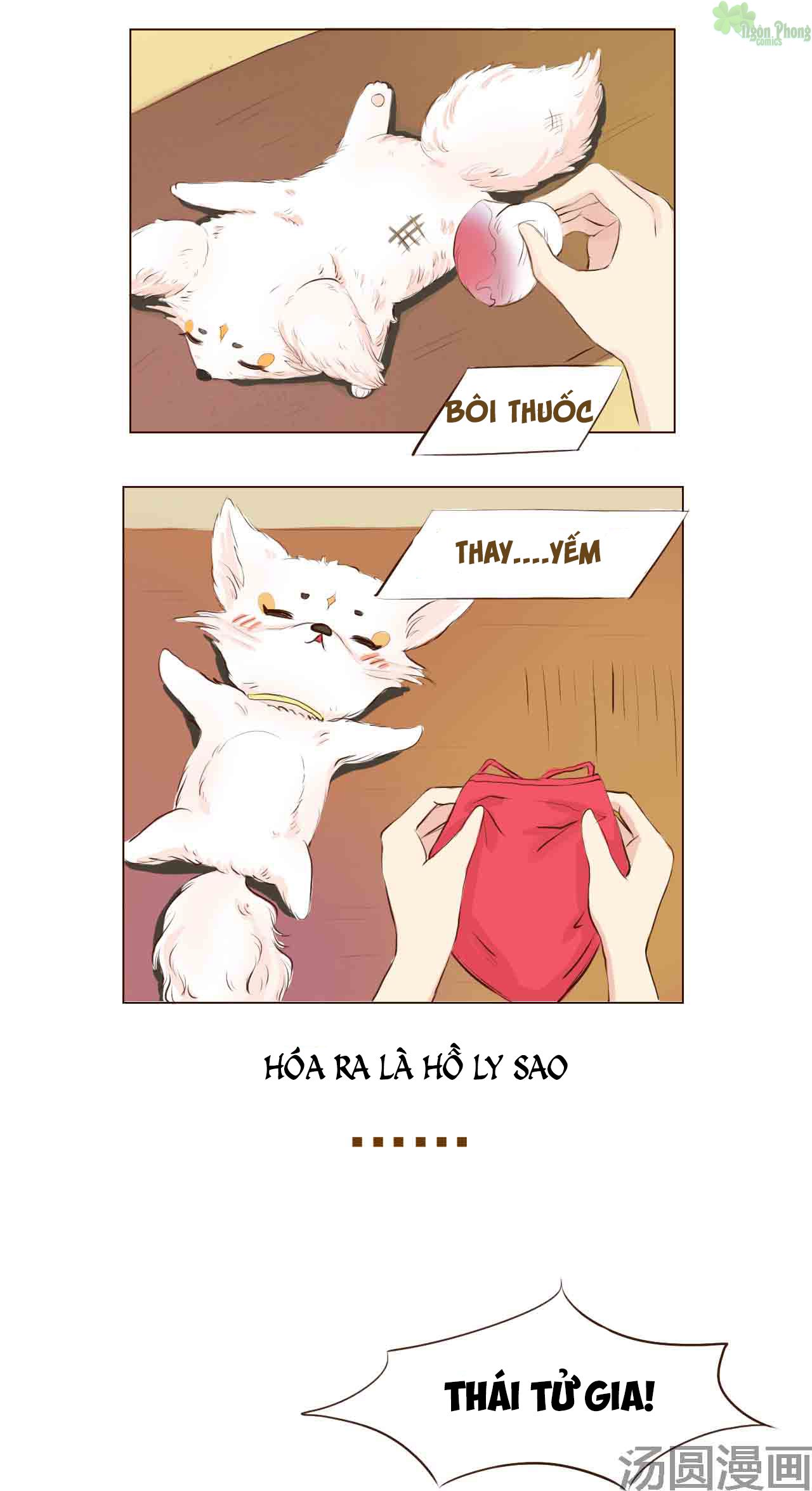 mẫu phi đuôi của người lộ ra rồi kìa chapter 4 7