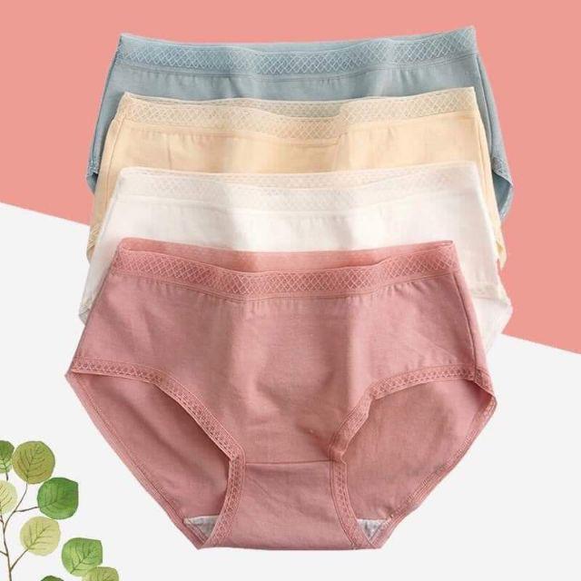 5 quần lót cotton cạp lưới kháng khuẩn chất mát xuất Nhật siêu đẹp