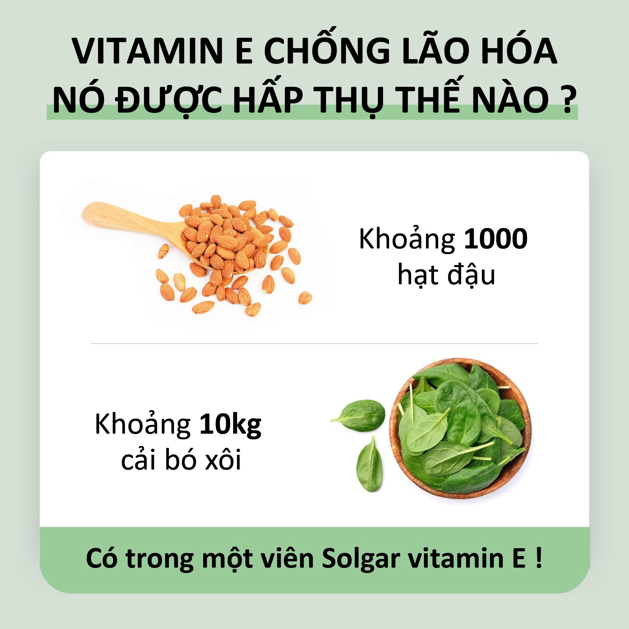 Viên Uống Solgar Vitamin E 400 IU - Bổ Sung Vtamin E, Hỗ Trợ Làm Đẹp Da, Ngăn Ngừa Lão Hóa [ 50 Viên]