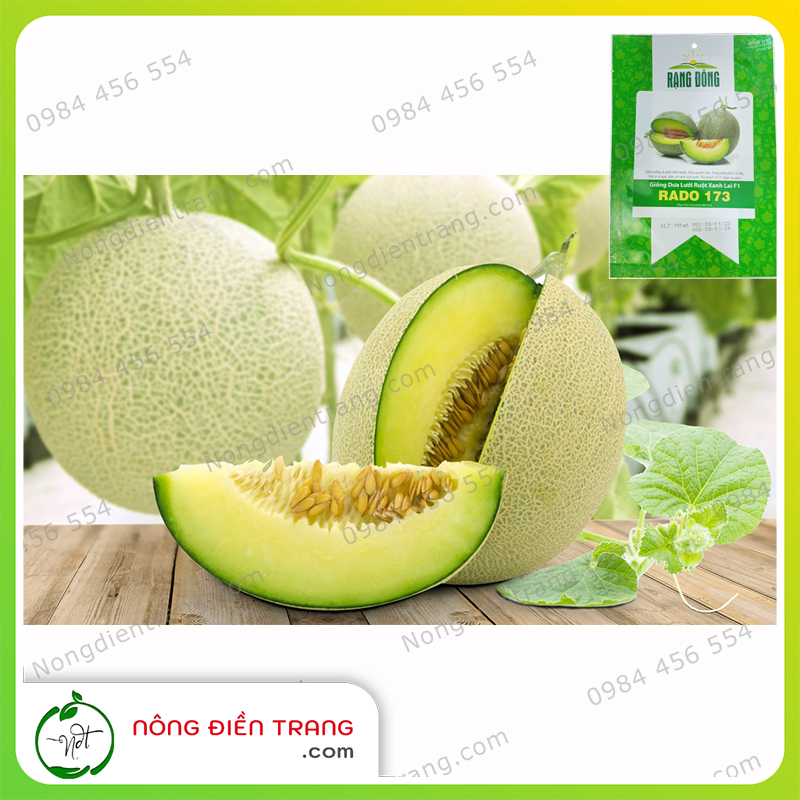 Hạt Giống Dưa Lưới Ruột Xanh Lai F1 Siêu Ngọt Rạng Đông - Gói 10 Hạt - Trồng được Quanh Năm, Sinh Trưởng Phát Triển Mạnh, Sai Trái VTNN Nông Điền Trang