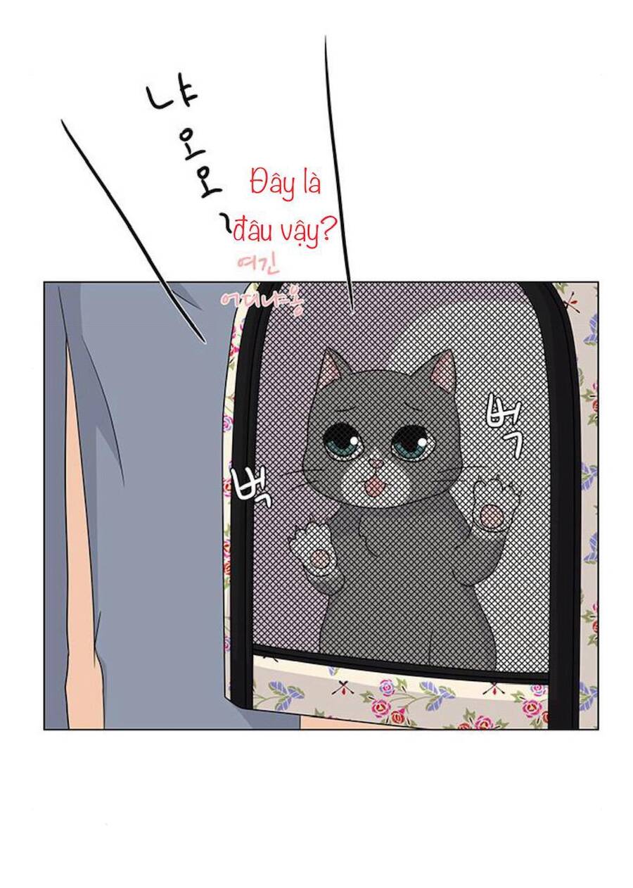 idol và sếp, em yêu ai? chapter 91 4