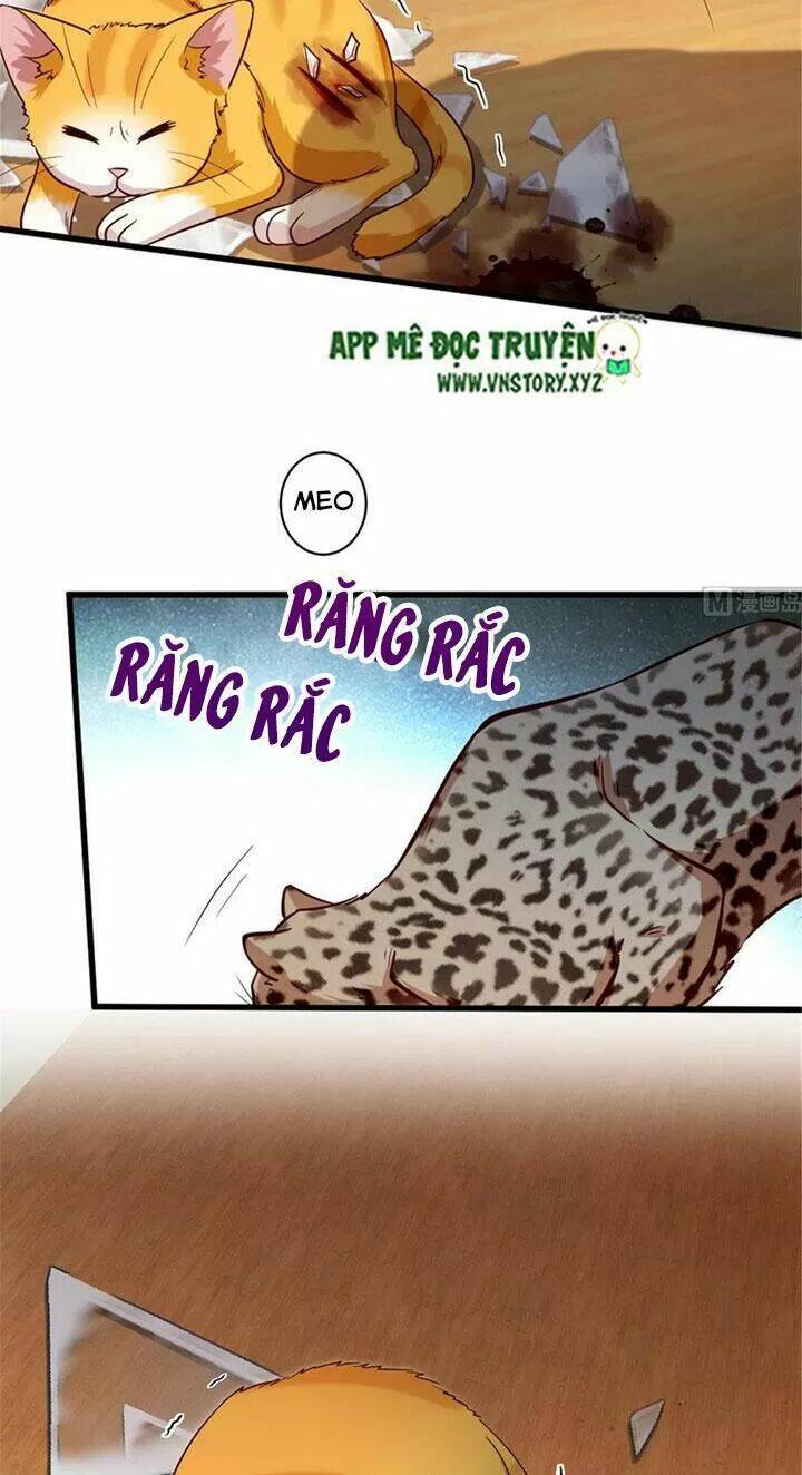 thiên hậu trở về chapter 186 24