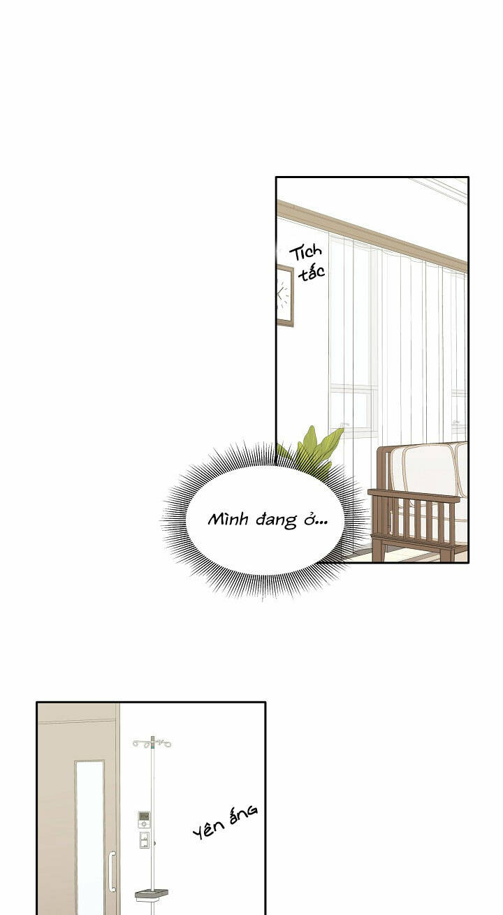 cuộc sống kỳ thú chapter 98 42