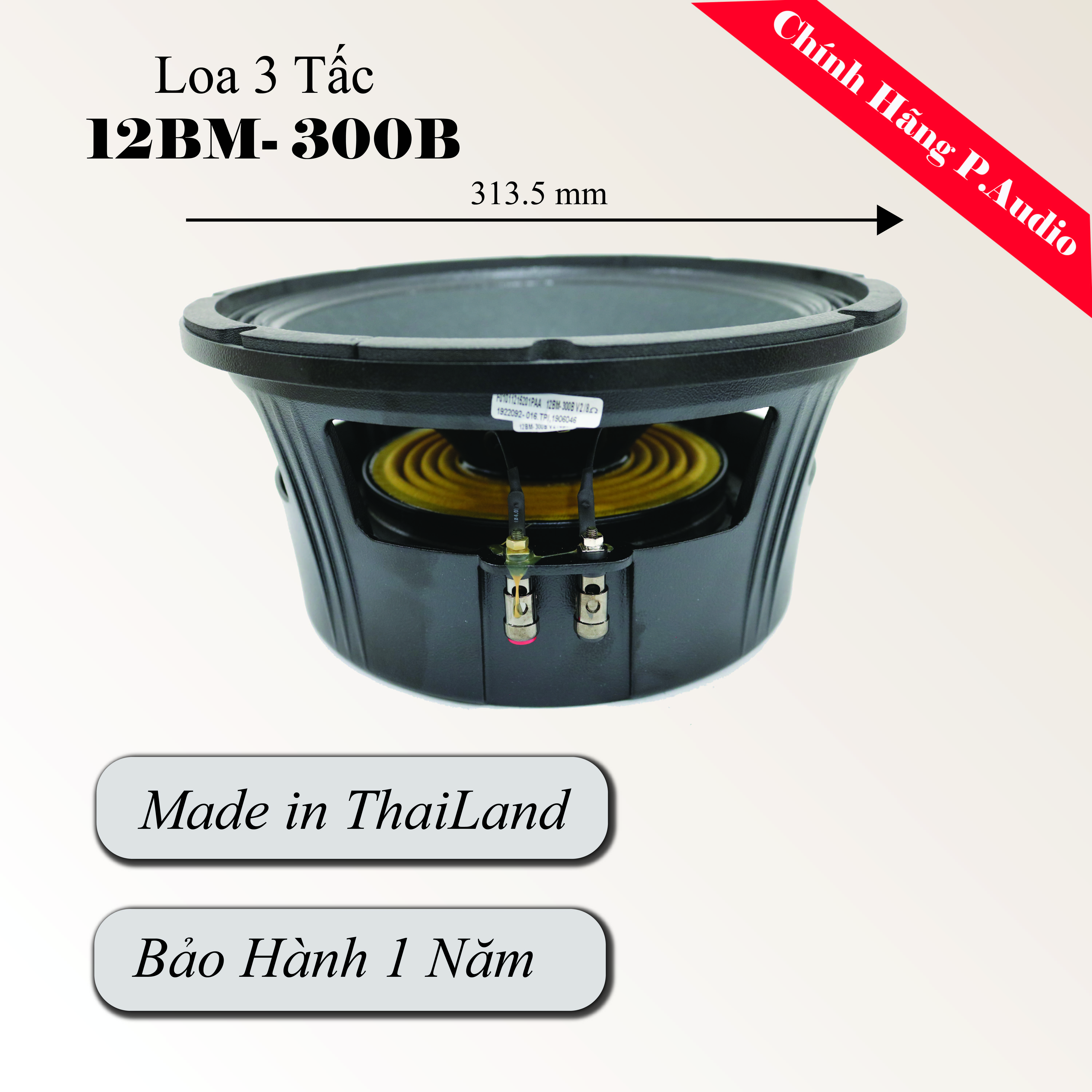 Loa Đơn P.Audio 12BM -300B Ba Tấc - Hàng Chính Hãng