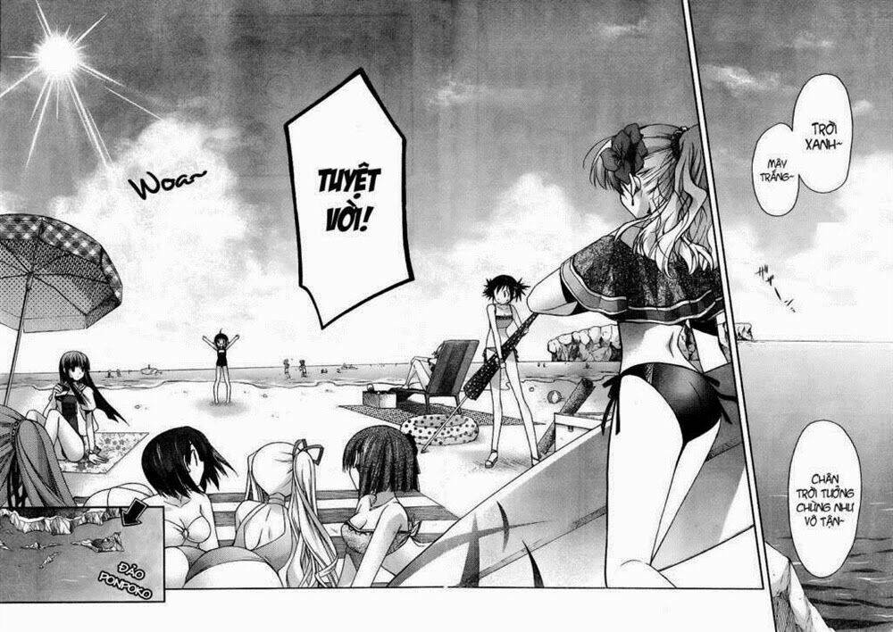 shina dark chapter 19 12