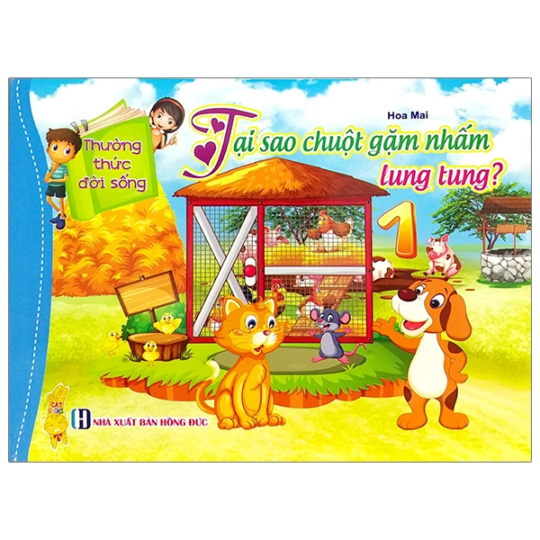 Thường Thức Đời Sống - Tại Sao Chuột Gặm Nhắm Lung Tung