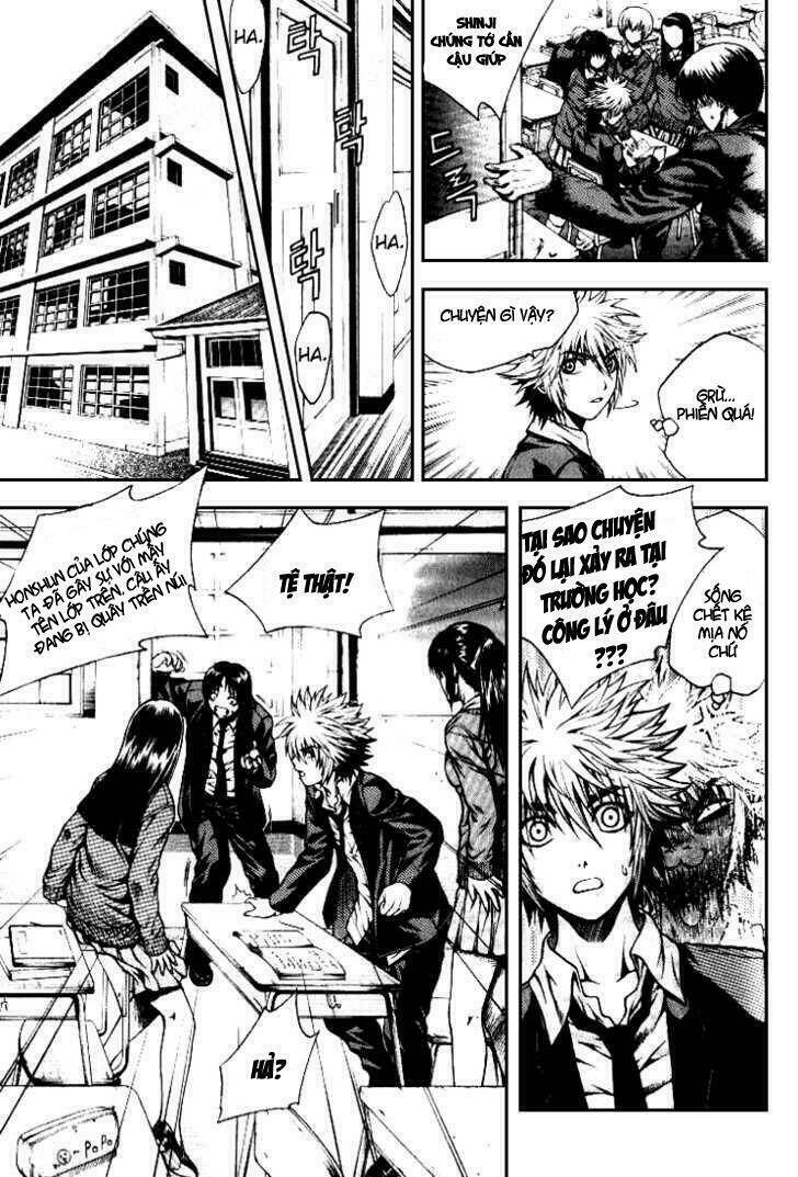 zippy ziggy chapter 1 33