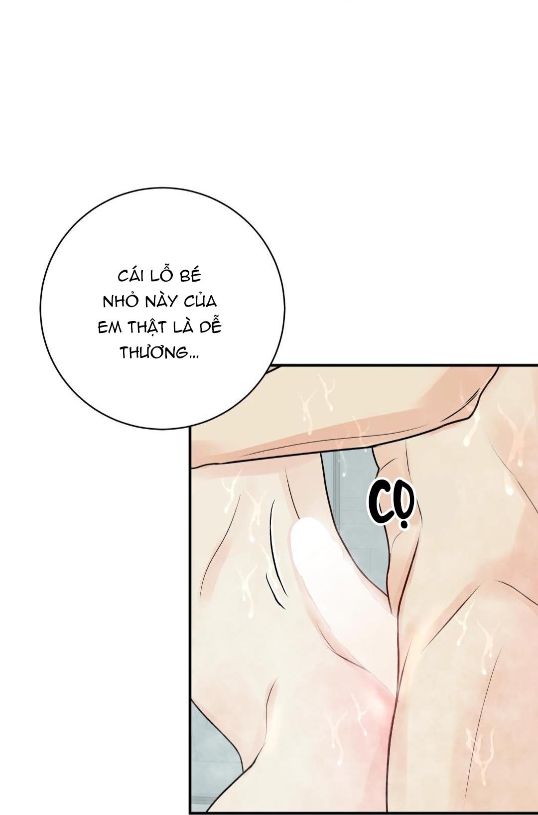 hạnh phúc trọn vẹn chapter 24 8