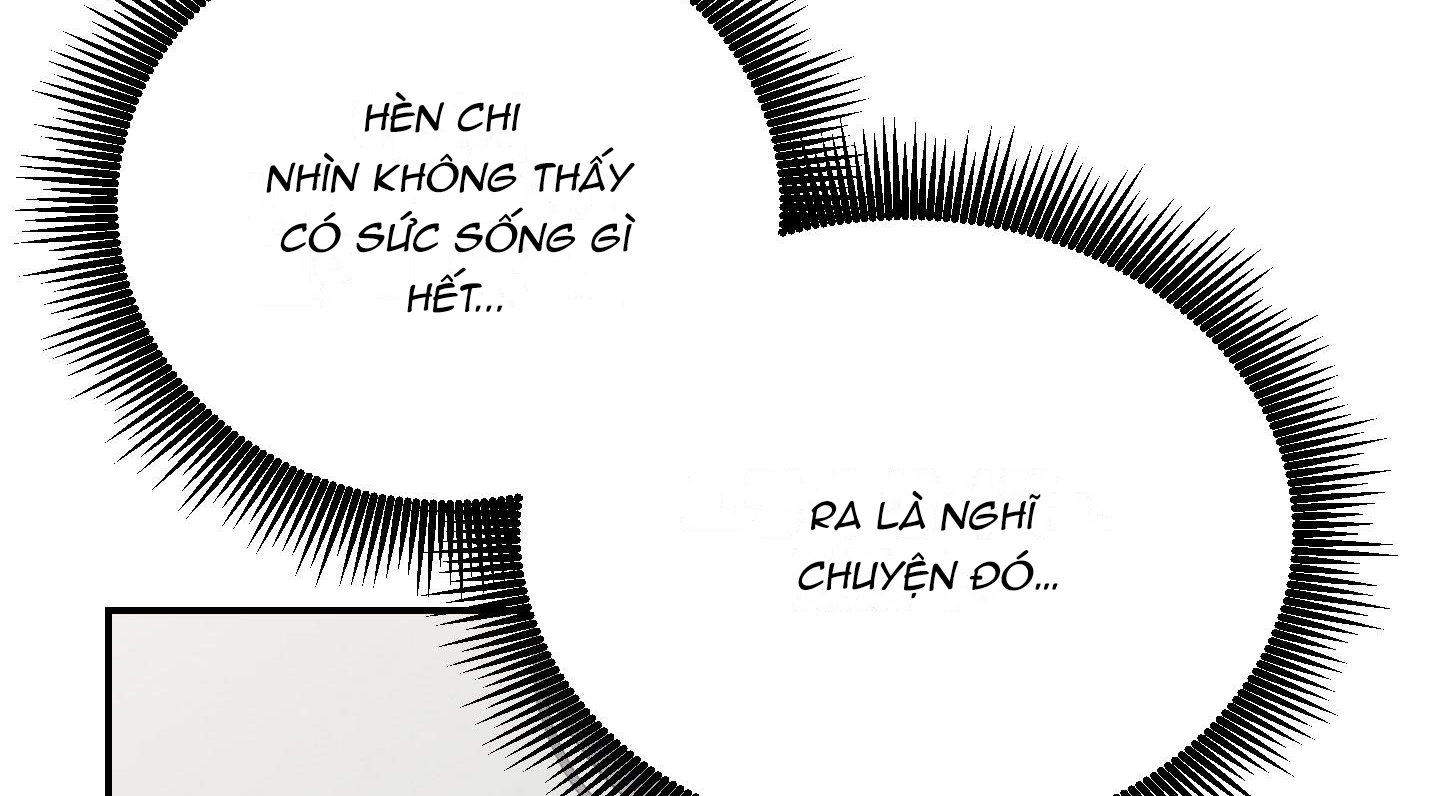 lãng mạn giả dối chapter 13 126