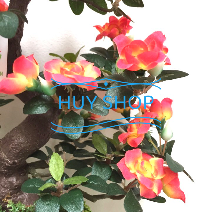 Chậu Bonsai Hoa TƯỜNG VY nhân tạo trang trí nhà cửa