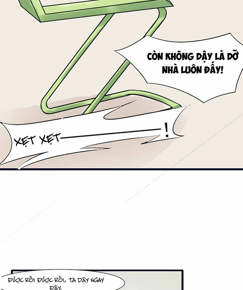 hai chú mèo totem chapter 10 13