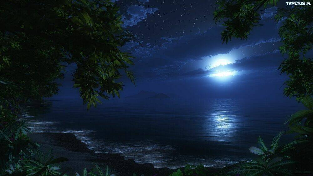 album natural wallpapers chapter 1 13