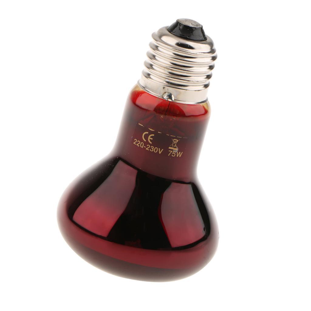 3x Reptile Nightlight Heat Lamp E27 Base UVA Night View Heat Light Bulb 75W