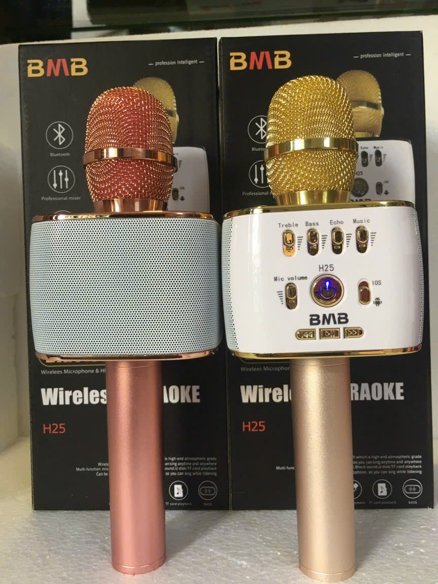 Micro karaoke Bluetooth H25