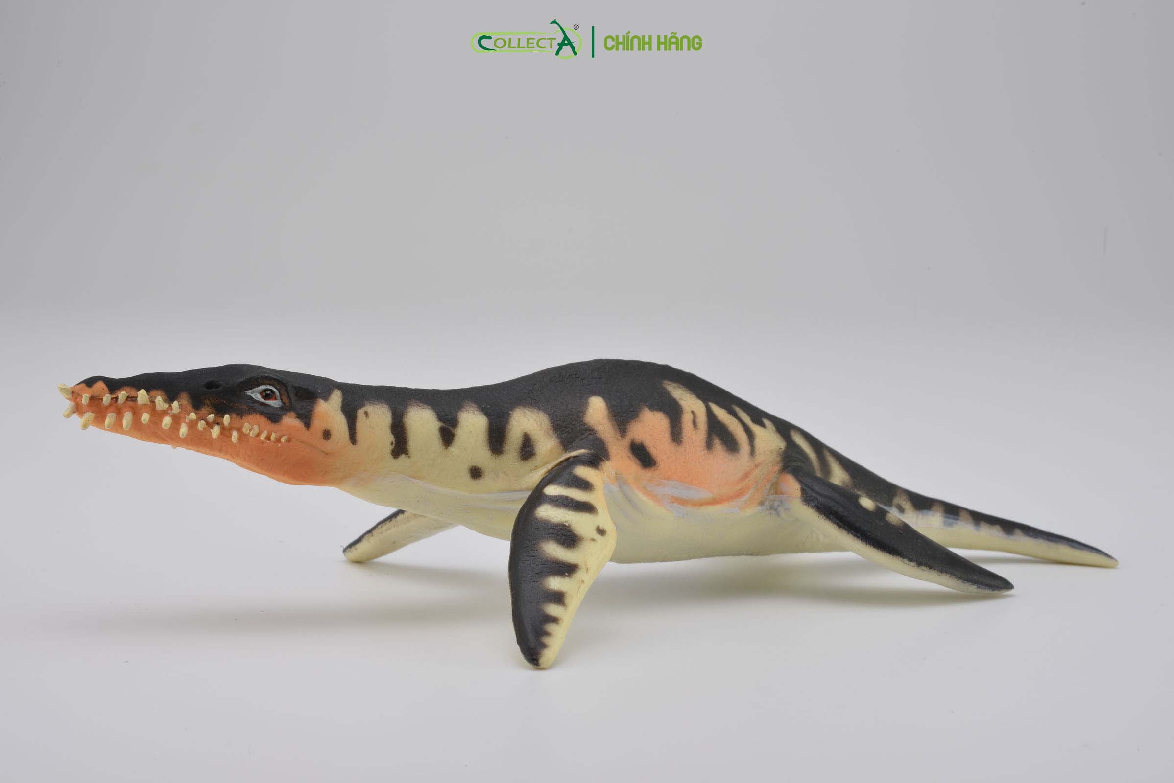 Mô hình thu nhỏ: Khủng Long Liopleurodon  - Liopleurodon, hiệu: CollectA, mã HS 9654170[88237] -  Chất liệu an toàn cho trẻ - Hàng chính hãng